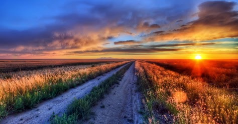 Sempurna Karya Mita Fitriah